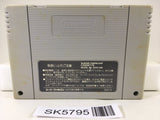 Super Donkey Kong Country Nintendo Super Famicom SNES Japan - SK5795