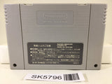 Super Donkey Kong Country Nintendo Super Famicom SNES Japan - SK5796