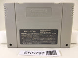 Super Donkey Kong Country Nintendo Super Famicom SNES Japan - SK5797