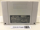 Super Donkey Kong Country Nintendo Super Famicom SNES Japan - SK5798