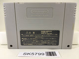 Super Donkey Kong Country 2 Nintendo Super Famicom SNES Japan - SK5799
