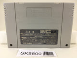 Super Donkey Kong Country 2 Nintendo Super Famicom SNES Japan - SK5800