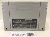 Super Donkey Kong Country 2 Nintendo Super Famicom SNES Japan - SK5801