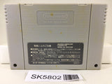 Super Donkey Kong Country 2 Nintendo Super Famicom SNES Japan - SK5802