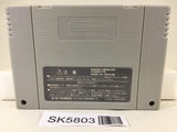 Super Donkey Kong Country 3 Nintendo Super Famicom SNES Japan - SK5803