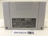 Super Donkey Kong Country 3 Nintendo Super Famicom SNES Japan - SK5804