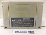 Street Fighter II 2 Nintendo Super Famicom SNES Japan - SK5805