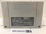 Street Fighter II 2 Turbo Nintendo Super Famicom SNES Japan - SK5809