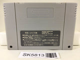 Fatal Fury Special Nintendo Super Famicom SNES Japan - SK5813
