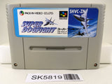 Turn and Burn No-Fly Zone Dogfight F14 Super Famicom SNES Japan - SK5819
