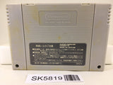 Turn and Burn No-Fly Zone Dogfight F14 Super Famicom SNES Japan - SK5819