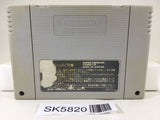 Dragon Ball Z Super Butouden Nintendo Super Famicom SNES Japan - SK5820