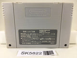 Dragon Ball Z Super Butouden Nintendo Super Famicom SNES Japan - SK5822