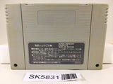Dragon Quest 1 & 2 Nintendo Super Famicom SNES Japan - SK5831