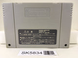 Dragon Quest VI 6 Nintendo Super Famicom SNES Japan - SK5834