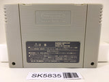Dragon Quest VI 6 Nintendo Super Famicom SNES Japan - SK5835