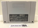 Dragon Quest VI 6 Nintendo Super Famicom SNES Japan - SK5836