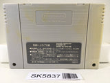 Seiken Densetsu 2 Secret of Mana Nintendo Super Famicom SNES Japan - SK5837