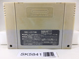 Romancing SaGa 2 Nintendo Super Famicom SNES Japan - SK5841