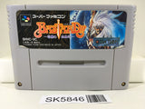 Bastard!! Ankoku no Hakaishin Nintendo Super Famicom SNES Japan - SK5846