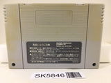 Bastard!! Ankoku no Hakaishin Nintendo Super Famicom SNES Japan - SK5846