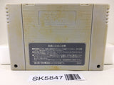 Treasure Hunter G Nintendo Super Famicom SNES Japan - SK5847