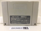 Star Fox Nintendo Super Famicom SNES Japan - SK5863