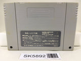 Super Puyo Puyo 2 Remix Tsu Nintendo Super Famicom SNES Japan - SK5892