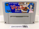 Super Nazo Puyo Rulue no Roux Puyo Puyo Super Famicom SNES Japan - SK5895