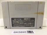 Super Nazo Puyo Rulue no Roux Puyo Puyo Super Famicom SNES Japan - SK5895