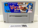 Super Nazo Puyo Rulue no Roux Puyo Puyo Super Famicom SNES Japan - SK5896