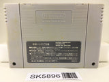 Super Nazo Puyo Rulue no Roux Puyo Puyo Super Famicom SNES Japan - SK5896