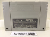 Takahashi Meijin no Daibouken Jima II Nintendo Super Famicom SNES Japan - SK5900