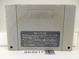 Big Run The Supreme 4WD Challenge Nintendo Super Famicom SNES Japan - SK5917