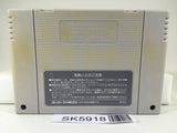 Big Run The Supreme 4WD Challenge Nintendo Super Famicom SNES Japan - SK5918