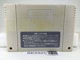 Exhaust Heat F1 ROC Race of Champions Nintendo Super Famicom SNES Japan - SK5920