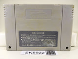 F1 Grand Prix Racing Nintendo Super Famicom SNES Japan - SK5922