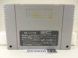 Super Dunk Shot Basketball Nintendo Super Famicom SNES Japan - SK5928