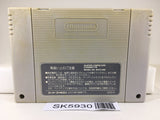 Super Fire Pro Wrestling 2 Nintendo Super Famicom SNES Japan - SK5930