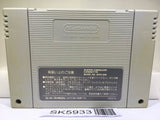 Super Tetris 2 + Bombliss Nintendo Super Famicom SNES Japan - SK5933
