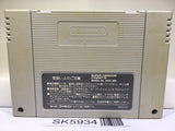 Super Tetris 2 + Bombliss Nintendo Super Famicom SNES Japan - SK5934