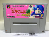 Super Nazo Puyo 2 Tsu Nintendo Super Famicom SNES Japan - SK5935