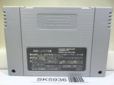 Super Nazo Puyo Rulue no Roux Puyo Puyo Super Famicom SNES Japan - SK5936