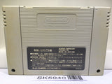 Super Puyo Puyo Nintendo Super Famicom SNES Japan - SK5940