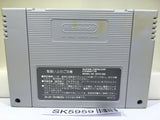 Yoshi no Road Hunting Yoshi's Safari Nintendo Super Famicom SNES Japan - SK5959