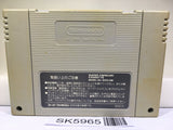Super Donkey Kong Country Nintendo Super Famicom SNES Japan - SK5965