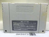 Super Donkey Kong Country 2 Nintendo Super Famicom SNES Japan - SK5973