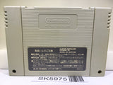 Super Donkey Kong Country Nintendo Super Famicom SNES Japan - SK5975