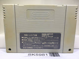Tiny Toon Adventures Buster Busts Loose Super Famicom SNES Japan - SK5981