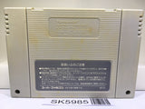 Royal Conquest King Arthur's World Nintendo Super Famicom SNES Japan - SK5985